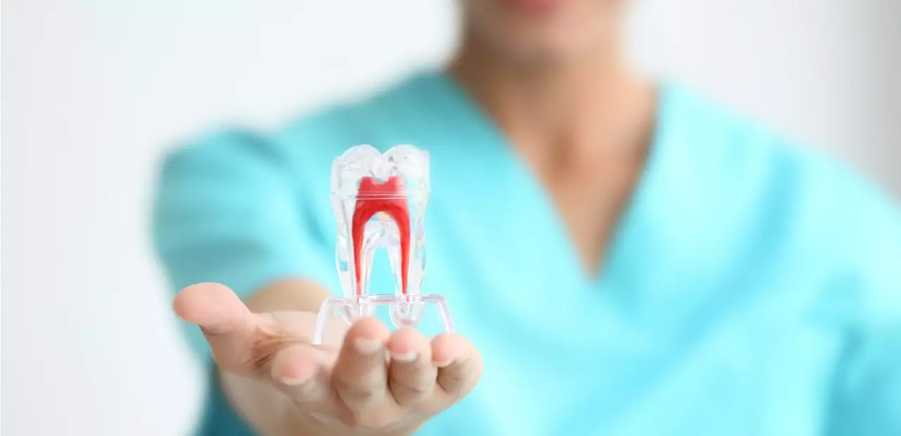 Toothaches and Root Canals: The Facts You Need to Know